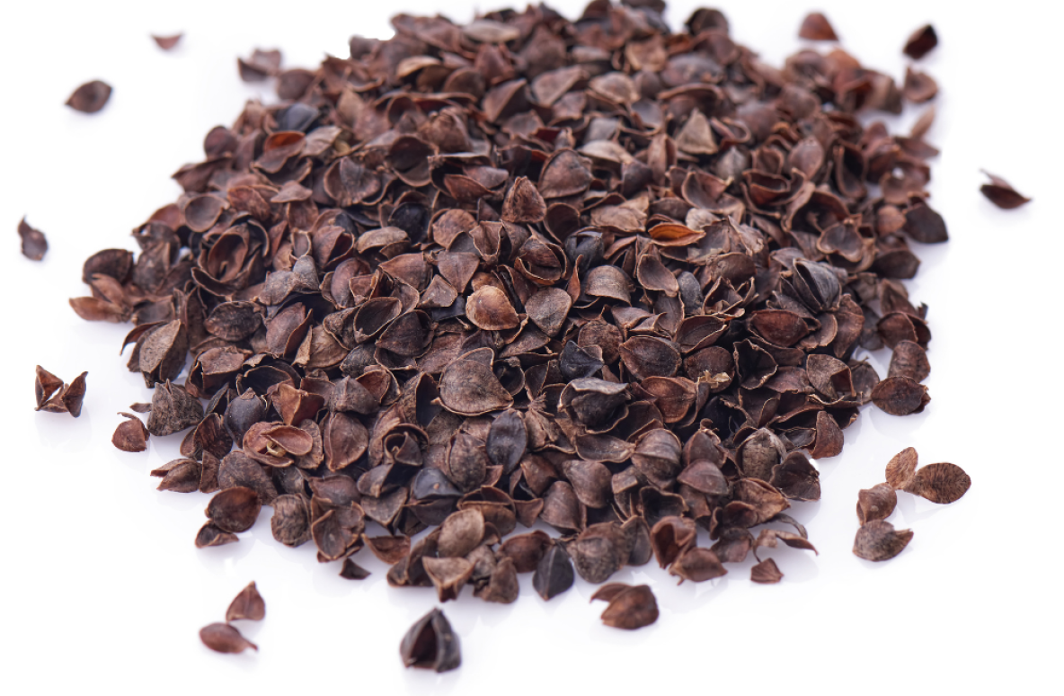 Bez tytułu (1000 x 1000 px) (1)